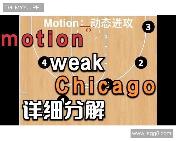 深圳排球队整体压制体系解析与战术运用探讨