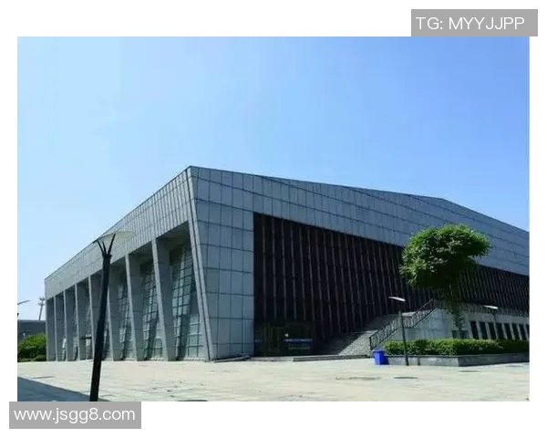 独家解析：北京羽毛球队节奏变化对比及其影响分析